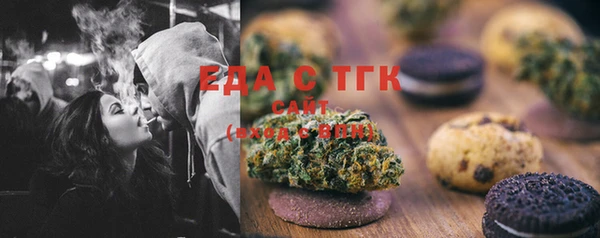 хмурый Алзамай