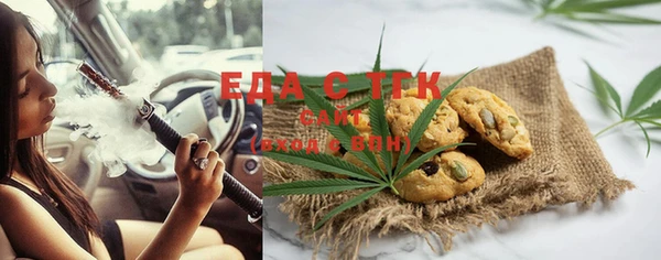 хмурый Алзамай